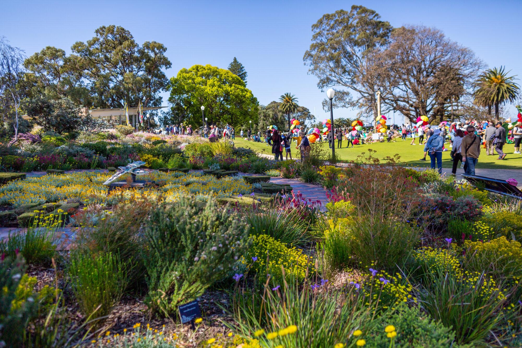 Discover the Lush Flora and Fauna of Kings Park