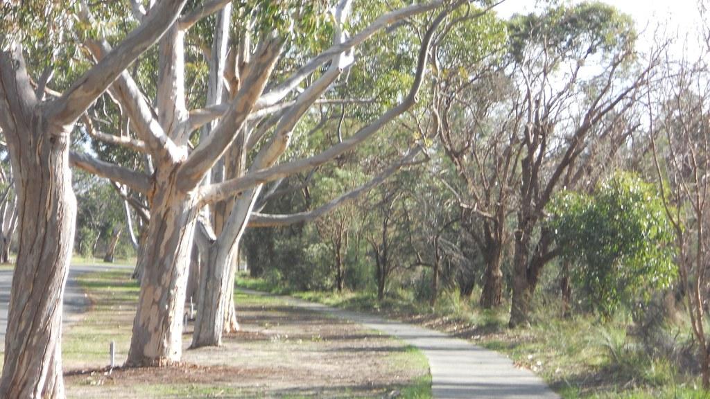 Uncover Hidden Trails and Serene Picnic Spots